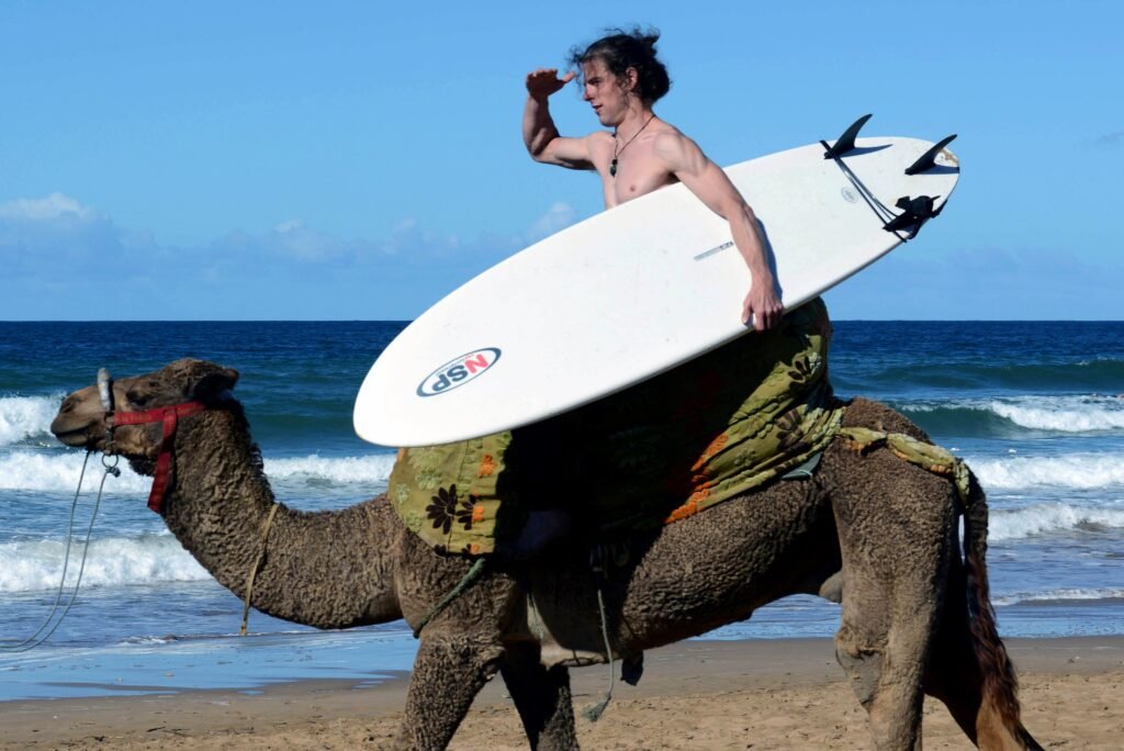 s'expatrier en Afrique