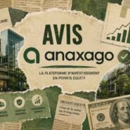 avis anaxago crowdfunding