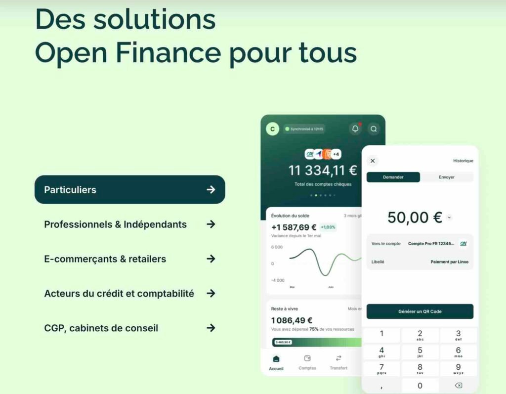 Screenshot - Le Nouvel Investisseur Linxo est l'un des pionniers de l'agrégation bancaire en France.